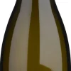 Witte Wijn|Andrian Pinot Grigio