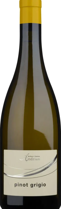Witte Wijn|Andrian Pinot Grigio