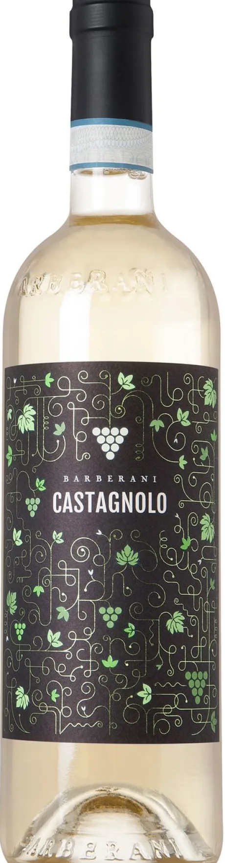 Witte Wijn|Barberani Orvieto Classico Castagnolo