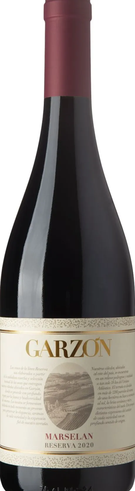 Rode Wijn|Bodega Garzón Bodega Garzón Reserva Marselan