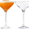 Cocktailglazen|Chef & Sommelier Chef & Sommelier Martini glas (21 cl) - set van 2