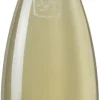 Witte Wijn|Lugano Costaripa Lugana 'Pievecroce'