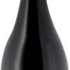Alcoholvrije Wijn|Alcoholvrije Wijn|Divin Reserve Pinot Noir