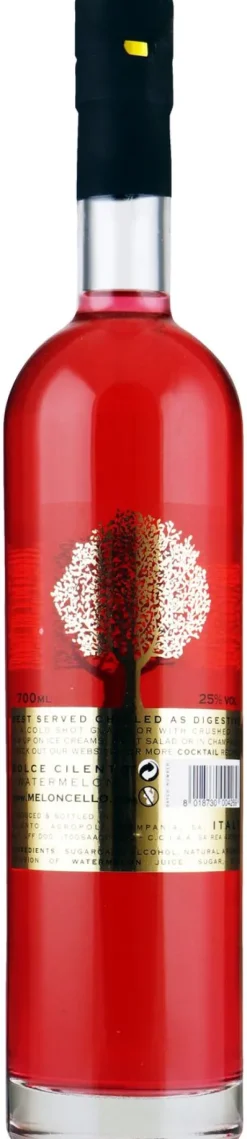 Fruitlikeur|Passimoncello Dolce Cilento Watermeloncello