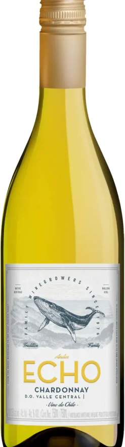 Witte Wijn|Echo Chardonnay