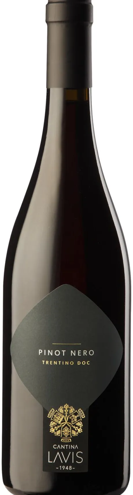 Rode Wijn|Lavis Classici Pinot Nero