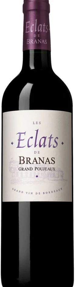 Rode Wijn|Château Branas Grand Poujeaux Les Eclats De Branas