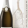 Champagne|Mousserend|Champagne Louis Roederer Louis Roederer Blanc de Blancs Cadeauverpakking