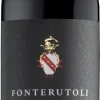 Rode Wijn|Mazzei Fonterutoli Chianti Classico
