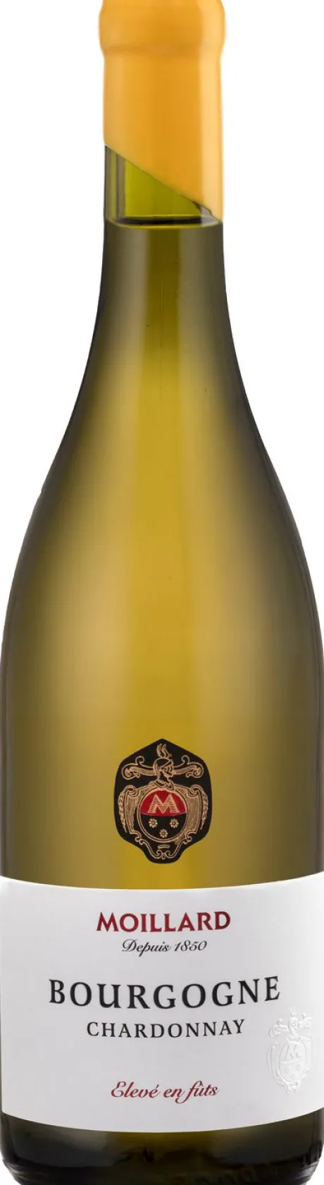 Witte Wijn|Moillard Bourgogne Chardonnay