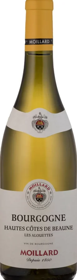 Witte Wijn|Moillard Hautes Cotes de Beaune Les Alouettes