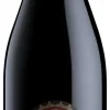 Rode Wijn|Pagus Bisano Pagus Bisano Valpolicella Ripasso Superiore
