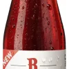 Speciaalbier|Rodenbach Fruitage
