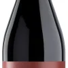 Rode Wijn|Sansilvestro San Silvestro Barbera d'Asti Superiore