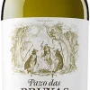 Witte Wijn|Torres Pazo Das Bruxas
