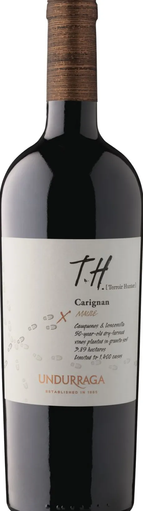 Rode Wijn|Viña Undurraga Undurraga T.H. Carignan Maule