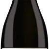 Rode Wijn|Valdivieso Gran Reserva Pinot Noir