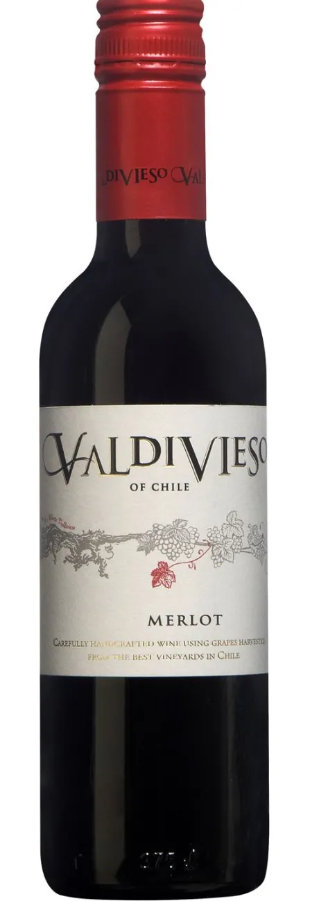 Rode Wijn|Valdivieso Merlot