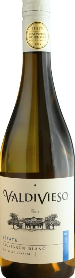 Witte Wijn|Valdivieso Sauvignon Blanc
